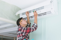 Untitled design (19)